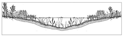 Cross section of pond